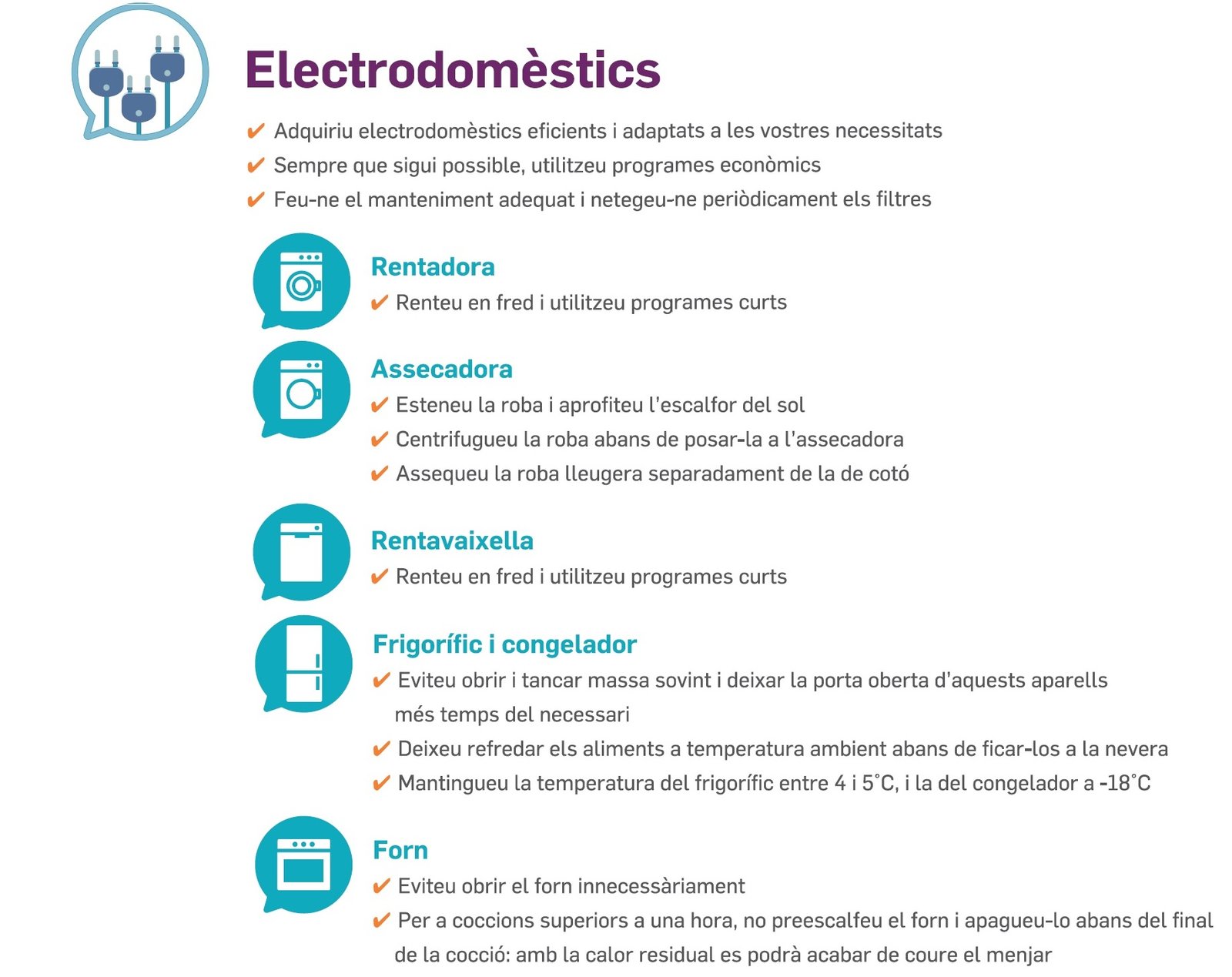Consells-Infografia-04